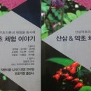 산삼약초 - 강릉시 강릉대로457번길 21 | 산삼약초
