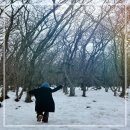 침대용 전기장판 카본매트 후기
