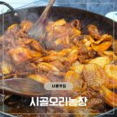 시골농장 | (시흥맛집)시골오리농장| 푸짐하게 잘 먹고 나오는 시흥 오리 맛집 내돈내산 후기