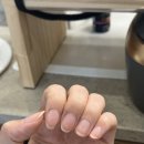 분당 서현역 네일샵 네일인어스 벚꽃 네일 후기