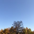 송도 새아침공원 새아침테니스장 | &lt;내가가본&gt; 가을 산책 | 송도 새아침공원&amp;달빛공원&amp;신송공원 🍁