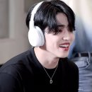 쿱스 이미지