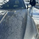 내포세차장 이미지