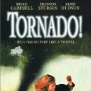 1996 토네이도!Tornado! 이미지