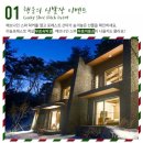 메리포레스트