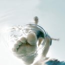 오장육부 이미지