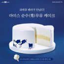 순수케이크 이미지