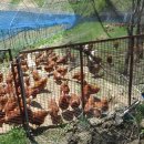 생담원농장 이미지