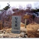 동광오토바이