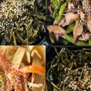 간편식 건강반찬 이미지