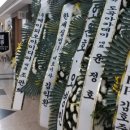 양평부안초 이미지