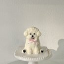 멈무푸드 이미지