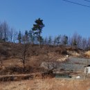 박종섭 공인중개사사무소 이미지