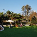 하이펫살롱 이미지