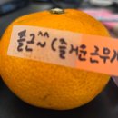 밝은김