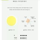 메리골드그룹 이미지