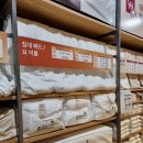 부산 무인양품 서면 롯데백화점 무지MUJI