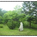 이효석농장 이미지