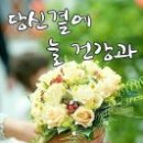 조락 이미지