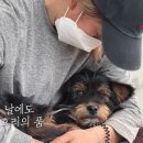 캐나다동물병원 이미지