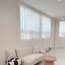 모다브로우 이미지