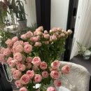 노을6(스타트) 이미지