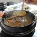 우리참옻 이미지