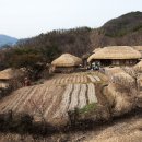 초가 이미지