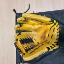 골드세탁 이미지