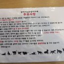 캣독카페 이미지
