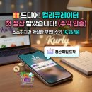 마켓컬리 큐레이터 첫 정산 후기! 쿠팡파트너스와 수익 구조 비교 분석