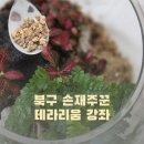 은평구시설관리공단 노동조합 | 광주 북구 문화센터 '손재주꾼' 테라리움 원데이클레스 / 포레스타