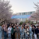 엘리야기획