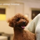 이호동물병원 이미지