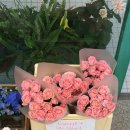 우디너리