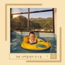 산타풀빌라 | 아기와 함께 사계절 온수 경북 산타풀빌라 후기