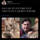 일을더시킬거면돈을더주던가 돈을코딱지처럼줄거면일을코딱지로주던가.twt (유머모음) 이미지