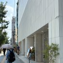 동대문 종합의류 | [일상] 성수 의류, 악세서리, 소품샵 뉴뉴 하우스 nyunyu 평일 방문후기(+솔직히...,)