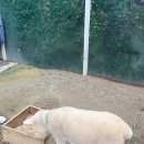 소란농장 이미지