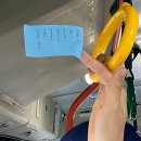 꼬지와 친구들 이미지