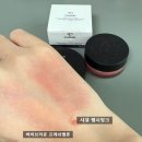 헬시바비 이미지