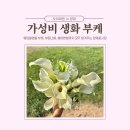 카라헤어 | [공지] 양재꽃시장 가성비 부케 추천 양재 오이화원 카라부케 후기(+ 부케, 부토니에, 헤어변형)