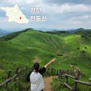 정선 가볼만한곳 민둥산 기차역에서 찾아가는길, 등산 코스, 등산 초보(등린이) 난이도