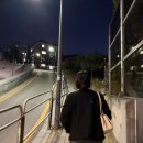 Happiness puppy | 제이닷트리 크리스마스 팝업 후기