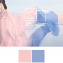 코리안덕 | 스타벅스 발렌타인데이 사랑스러운 젤리덕 ss코튼캔디 나나스 블루 텀블러 한발 빠르게 겟 한 후기