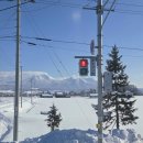 일본가정식비비 | 삿포로 3박4일 내가 먹은 것들/ 삿포로 스스키노 맛집❄️🩵