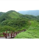 [6월22일] (블.야 100대명산)전북 장안산(1236m) 산행및 계곡트레킹 이미지