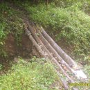 몰운대 등산로 입구 이미지