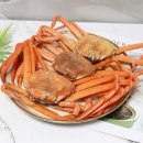 청솔수산 이미지