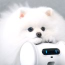 더바램 이미지